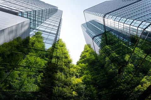 Sustainability